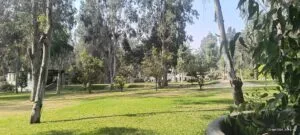 Casa con área verde y árboles para alquiler de eventos en Cieneguilla