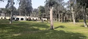 Casa con área verde y árboles para alquiler de eventos en Cieneguilla