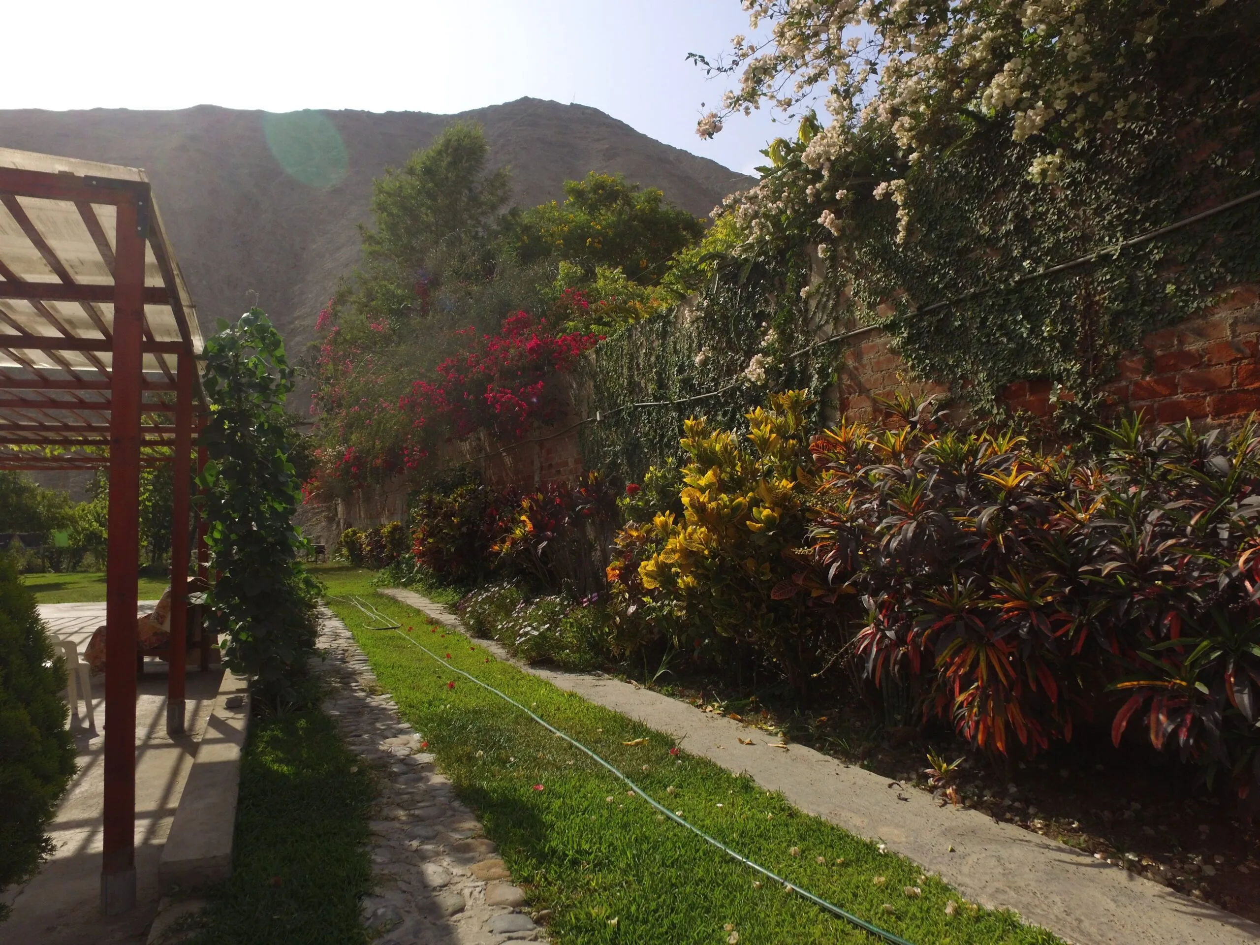 ardín bien cuidado con pérgola de madera, plantas y montañas en Cieneguilla
