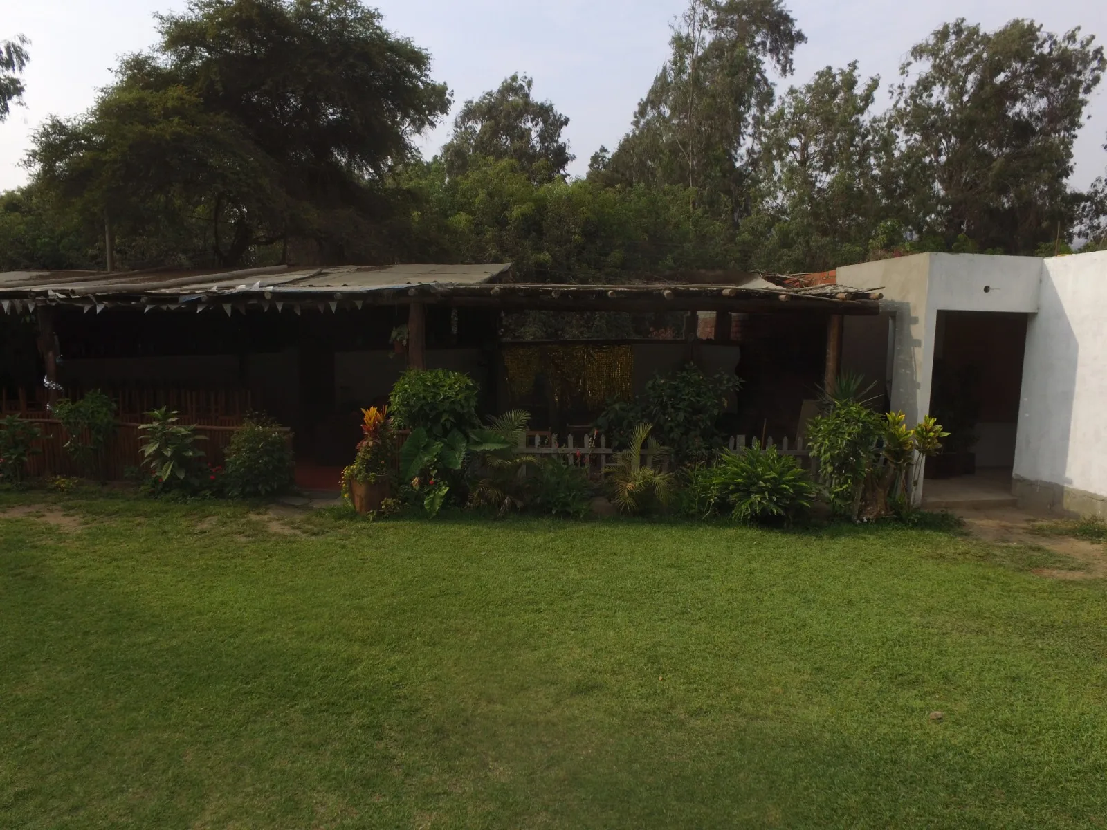 Área de patio exterior rústico con plantas, estructura de madera y techo de metal corrugado en una casa en alquiler en Cieneguilla.