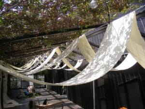 Decoración de pérgola con enredaderas y tela blanca en evento al aire libre en Cieneguilla