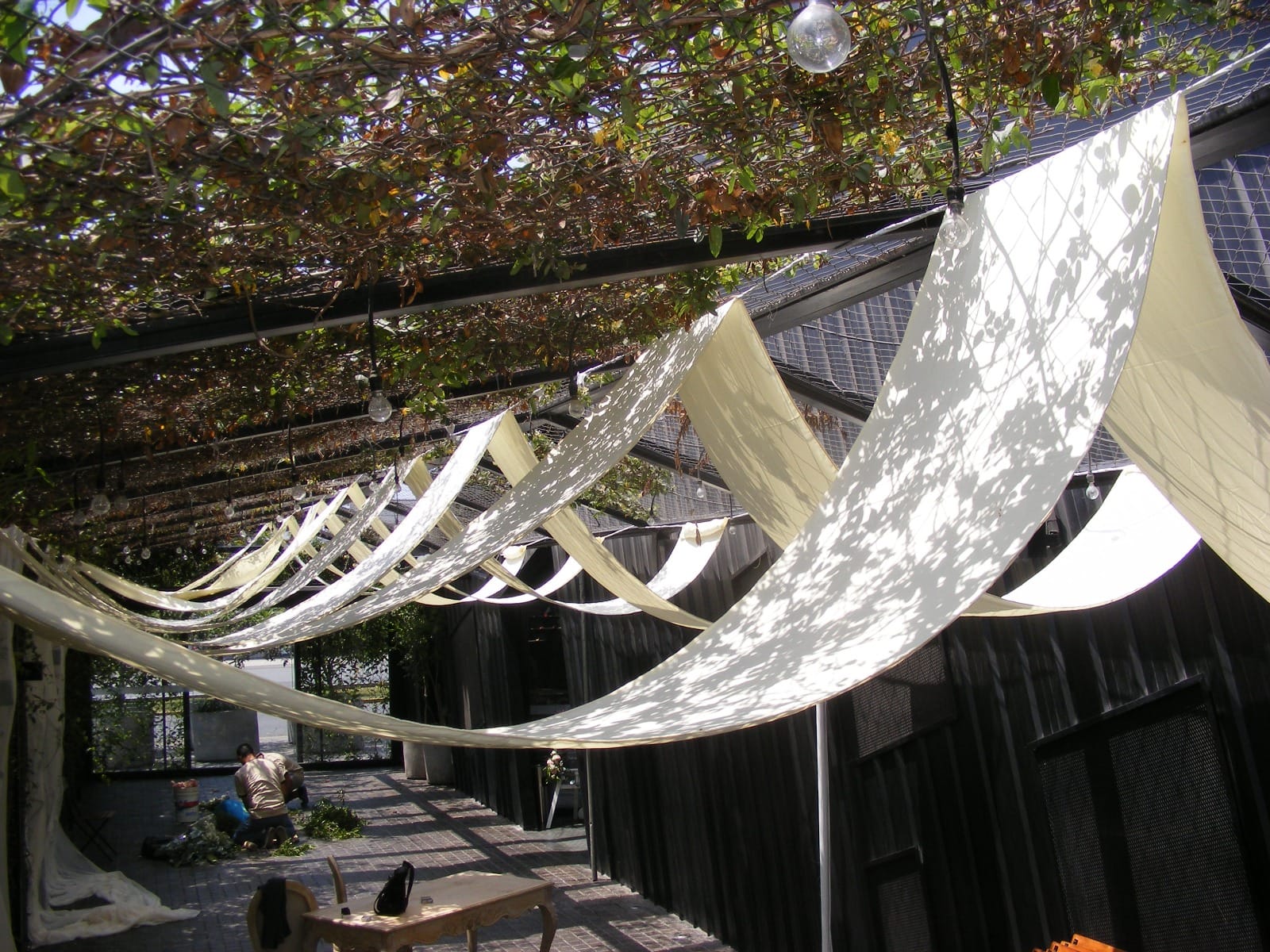 Decoración de pérgola con enredaderas y tela blanca en evento al aire libre en Cieneguilla