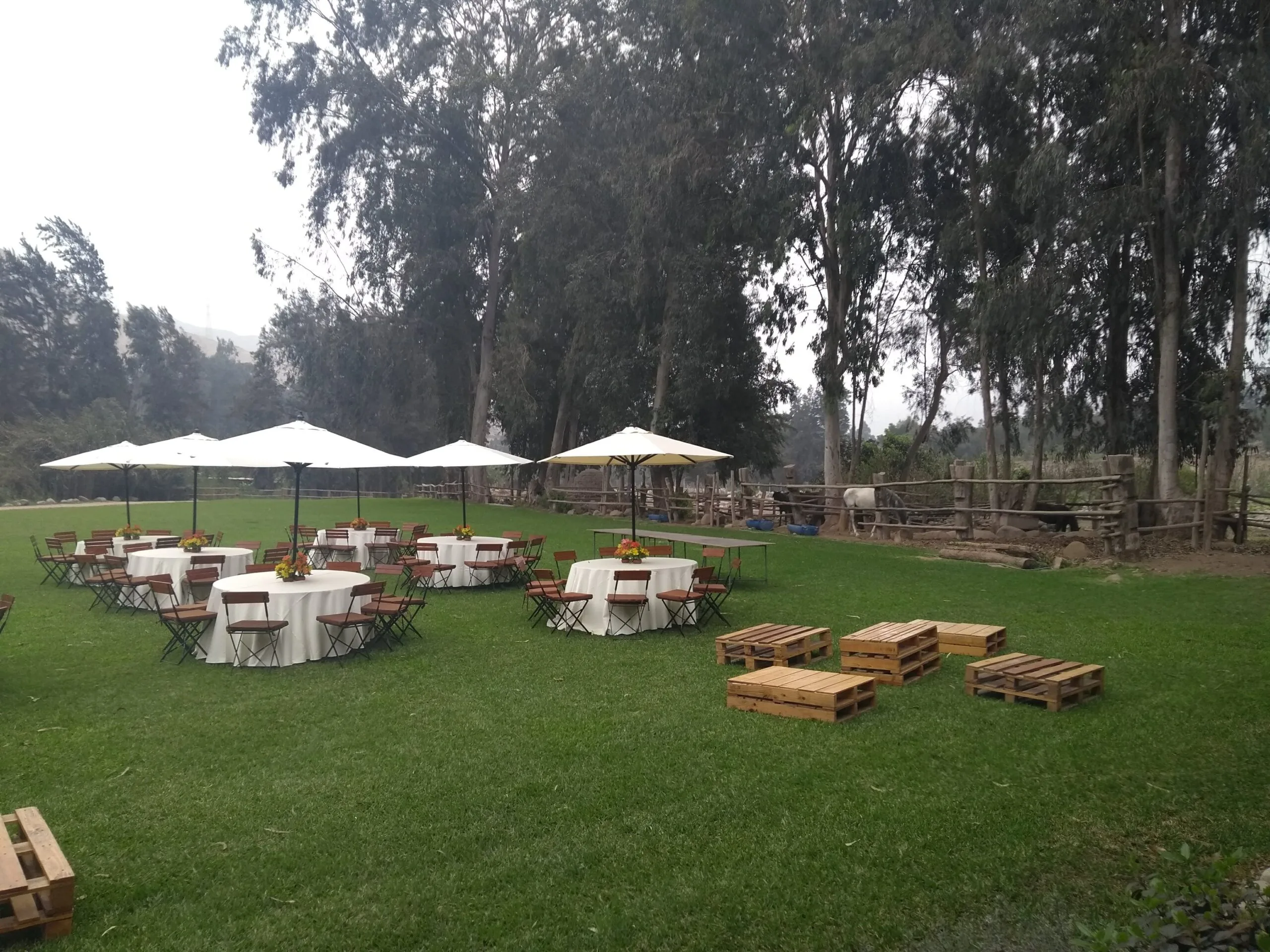Evento al aire libre con mesas redondas, sombrillas blancas y jardín en Cieneguilla