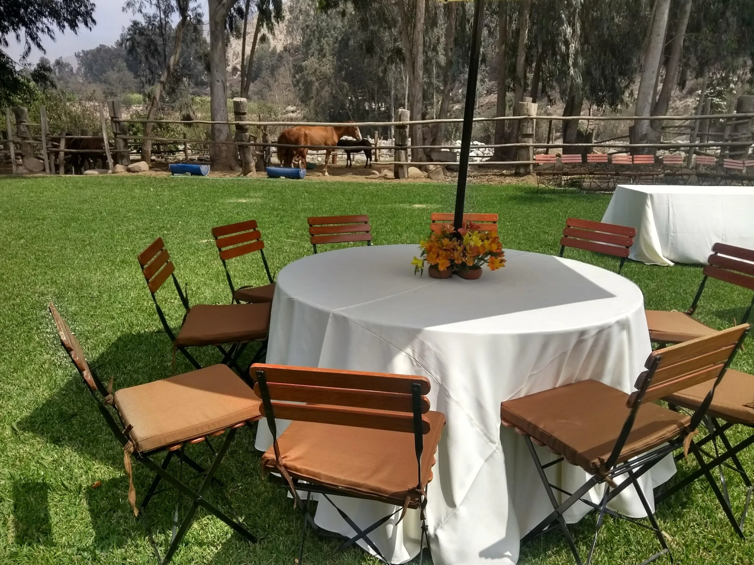 Evento al aire libre con mesas redondas, sombrillas blancas y jardín en Cieneguilla