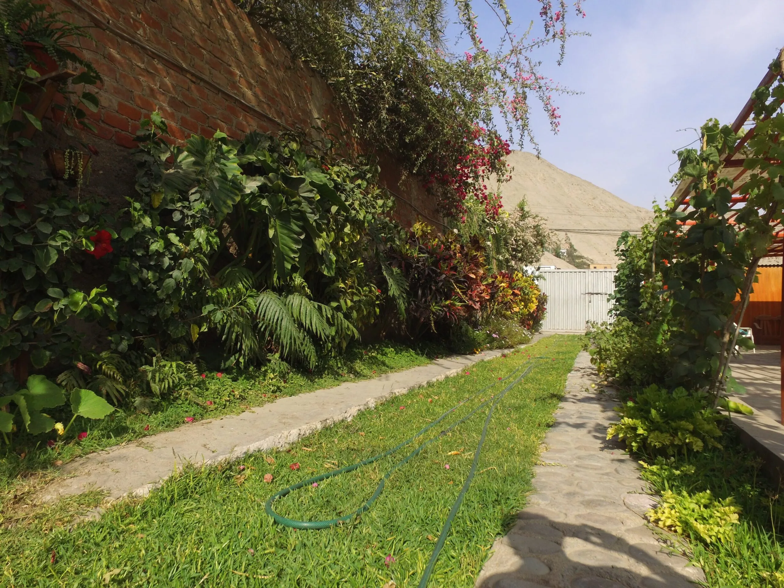 Jardín con caminos de piedra y follaje verde para alquiler de eventos en Cieneguilla