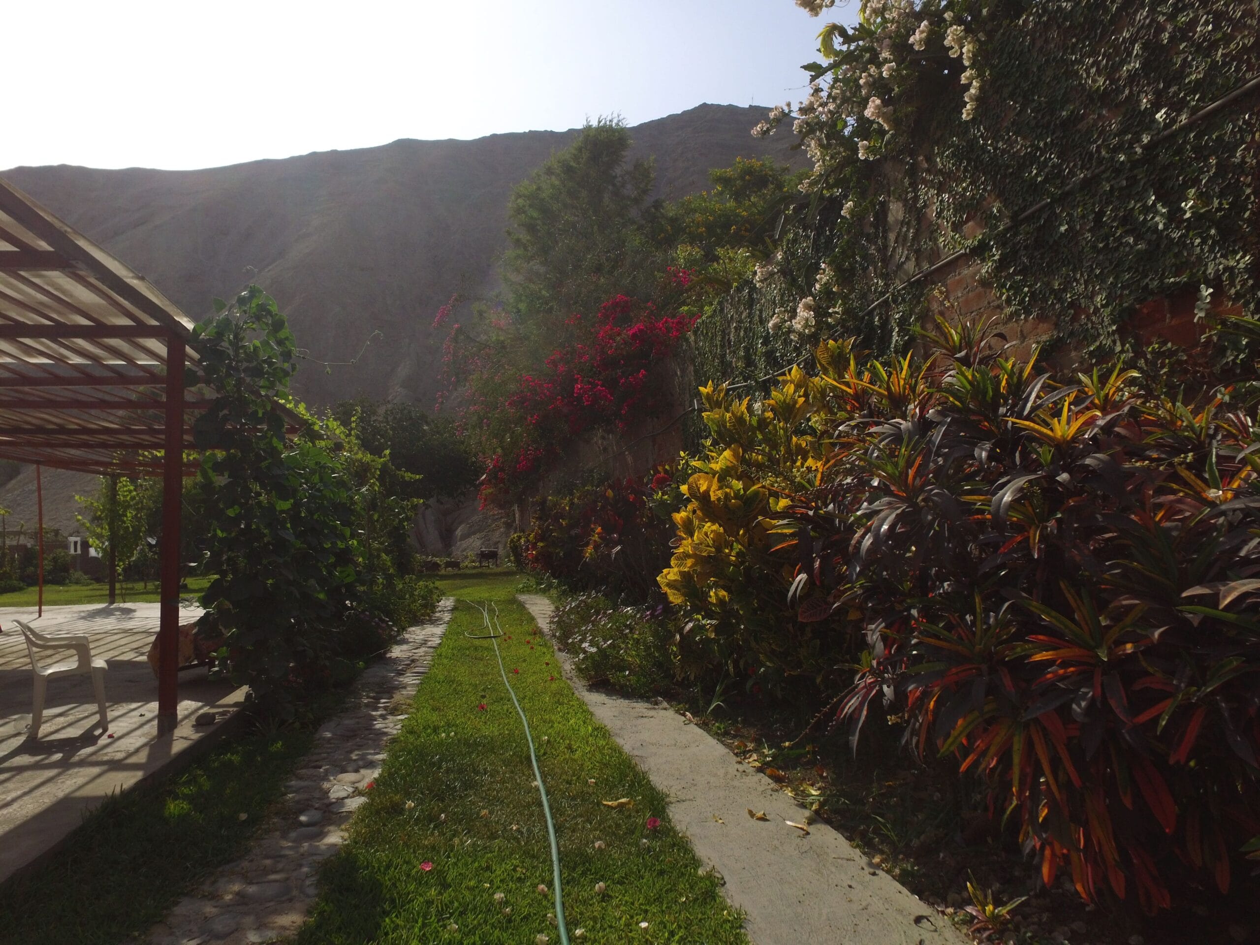 Jardín con pérgola y flores para alquiler de eventos en Cieneguilla