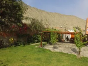 Jardín con pérgola cubierta de plantas y sillas debajo, en Cieneguilla