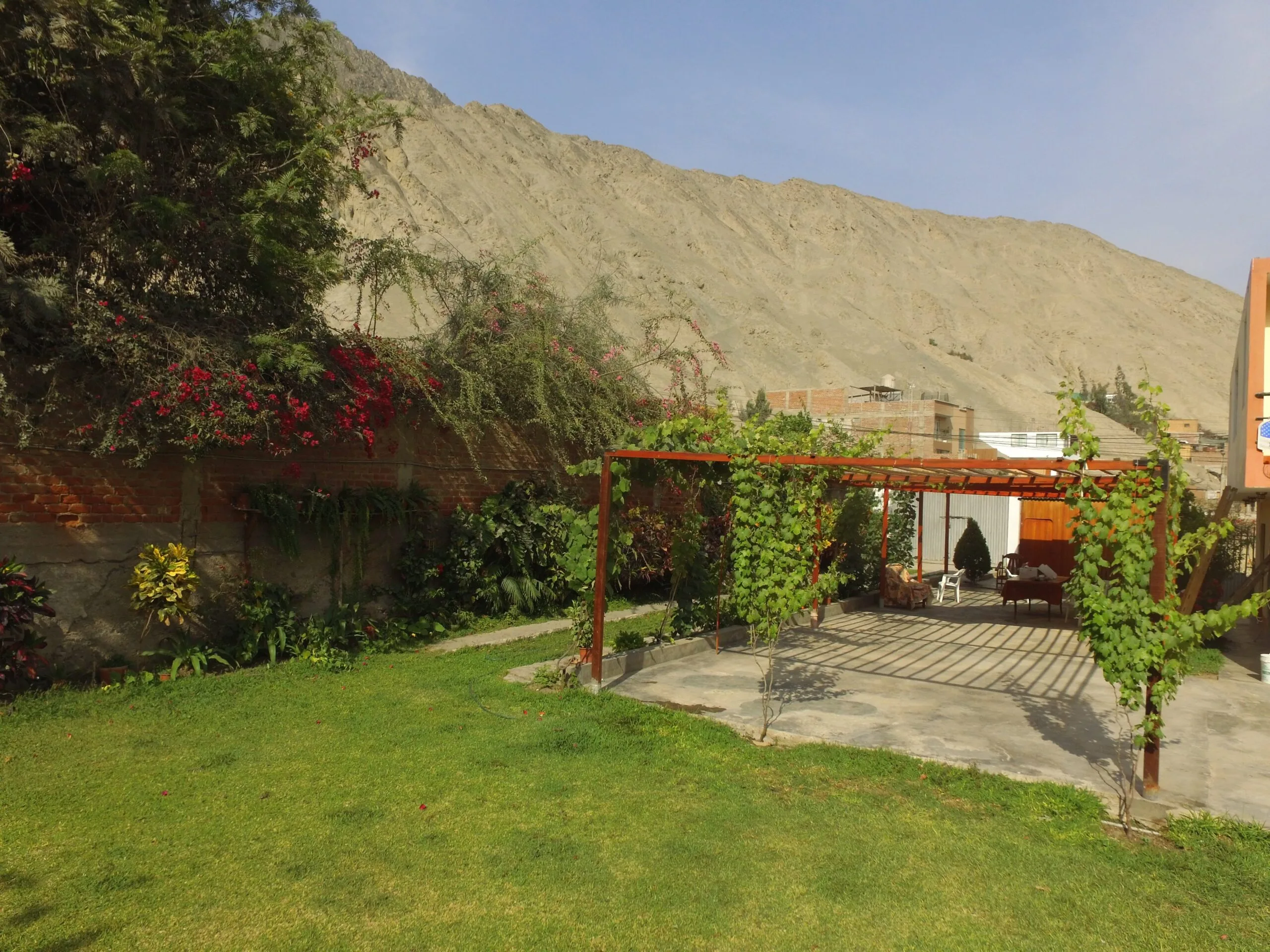 Jardín con pérgola cubierta de plantas y sillas debajo, en Cieneguilla
