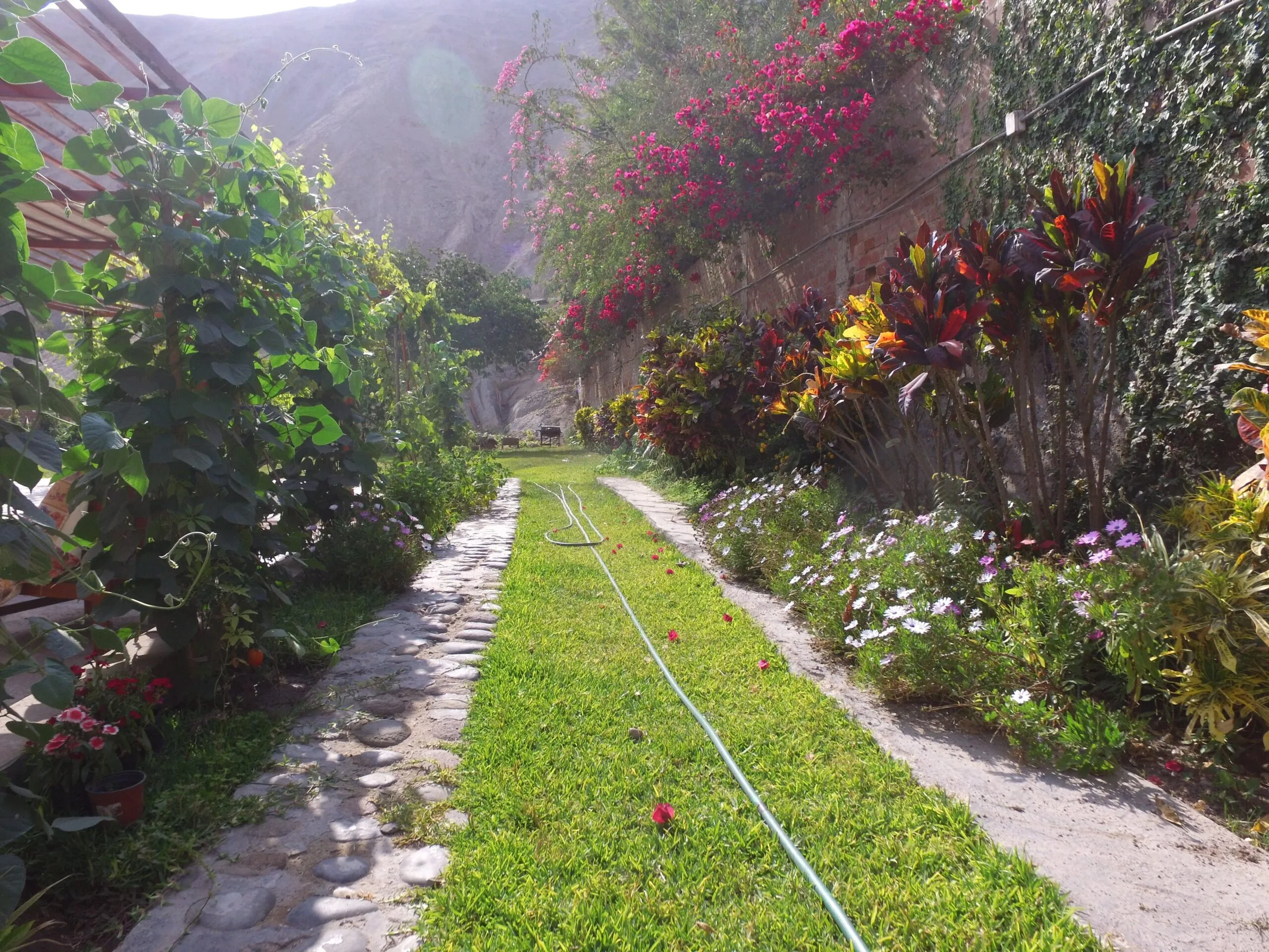 Jardín con sendero de piedra y flores para alquiler de eventos en Cieneguilla